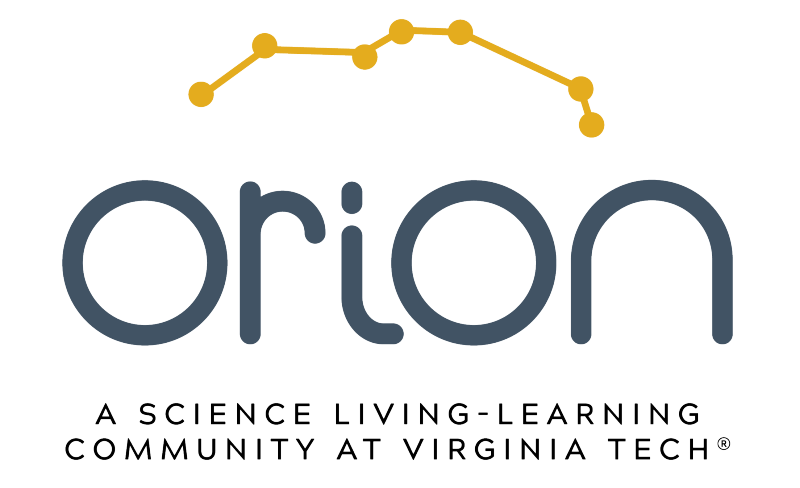 Orion LLC